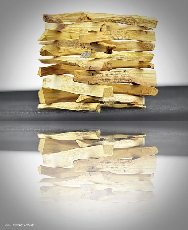 Palo Santo lustrane odbicie.jpg