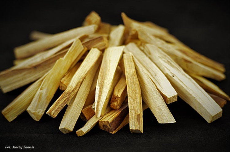 500 gr Drewno Palo Santo Święte Drzewo Holly Wood prosto z Peru. Fot. Maciej Załuski 