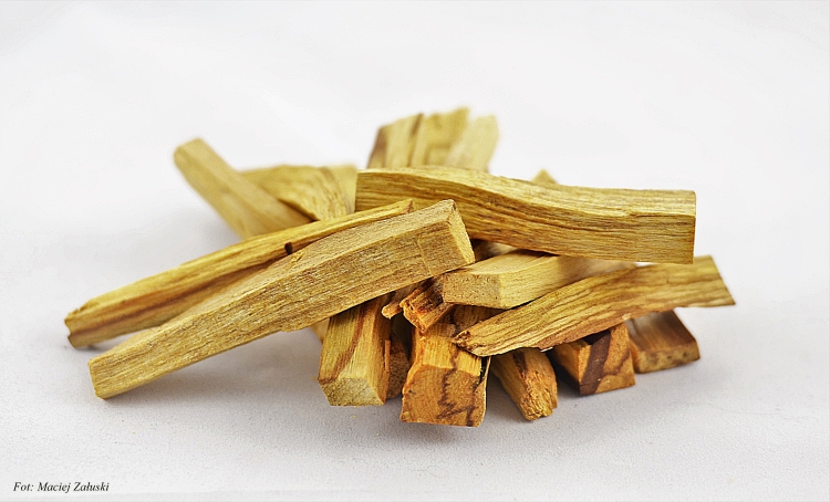 Palo Santo Święte drzewo Holly Wood Importer w Polsce