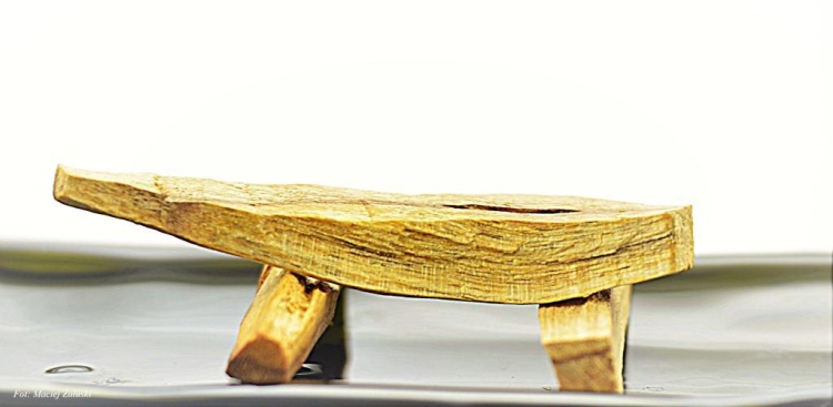 Palo-Santo.pl Święte drzewo. Fot. Maciej Załuski (4).jpg